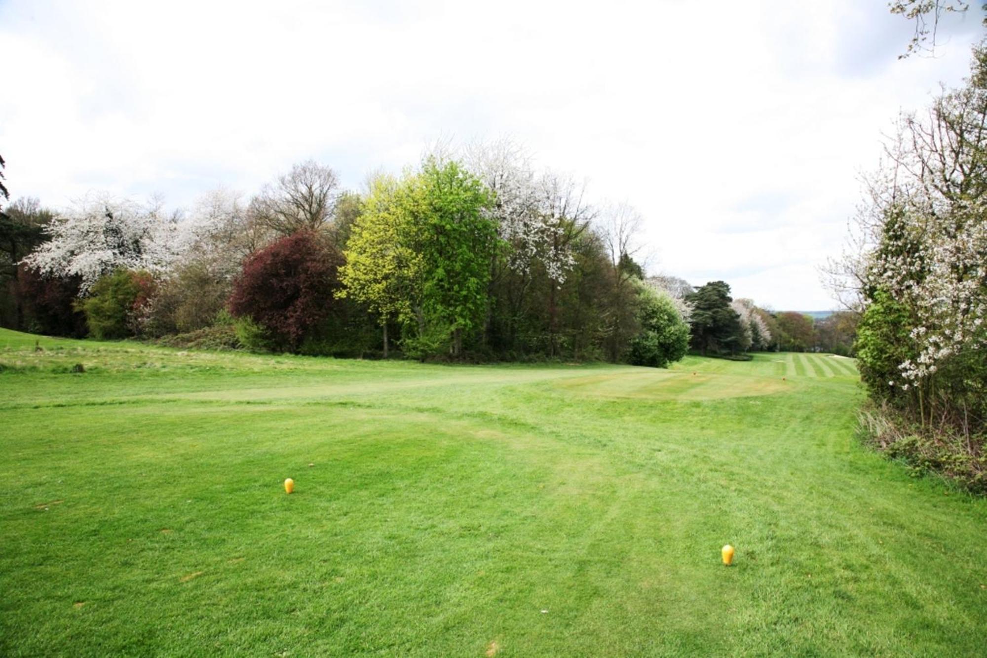 Shendish Manor Hotel & Golf Course Hemel Hempstead Exterior foto